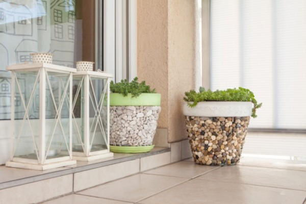 Tái chế xô cũ thành chậu hoa xinh xắn trang trí nhà