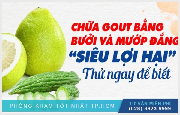 Tại sao bưởi và mướp đắng chữa được bệnh gout? 