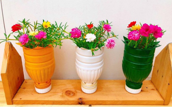 Tận dụng đồ bỏ đi làm khay trồng cây trang trí nhà cực xinh