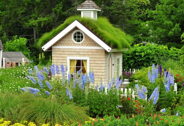 Tham khảo ngay ý tưởng xây ngôi nhà nhỏ trong khu vườn xinh