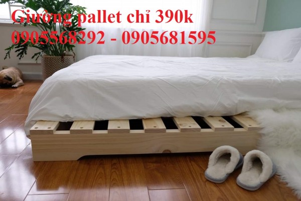 Thanh lý giường pallet giá siêu rẻ 0905681595