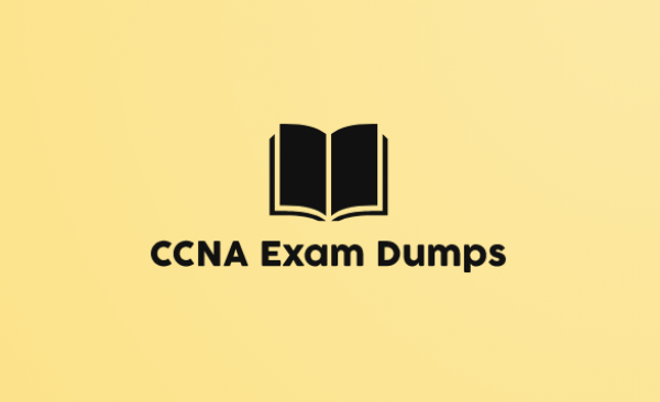 The Exam Topics Covered in CCNA Dump