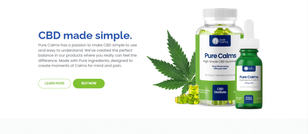 The Hidden Benefits of Pure Calms High Grade CBD Gummies for Pain Relief