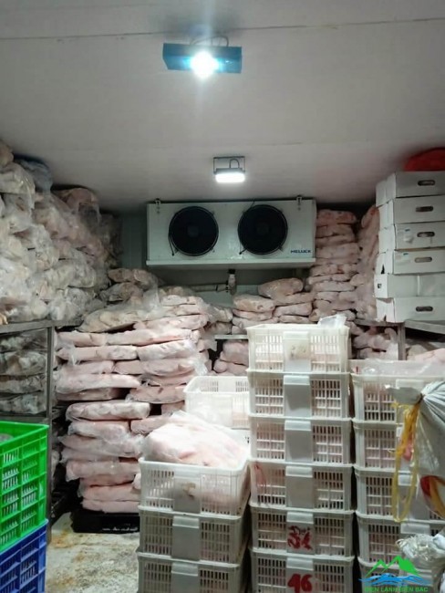 Thi công kho lạnh bảo quản gà đông lạnh