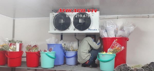 thi công kho lạnh bảo quản hoa tươi
