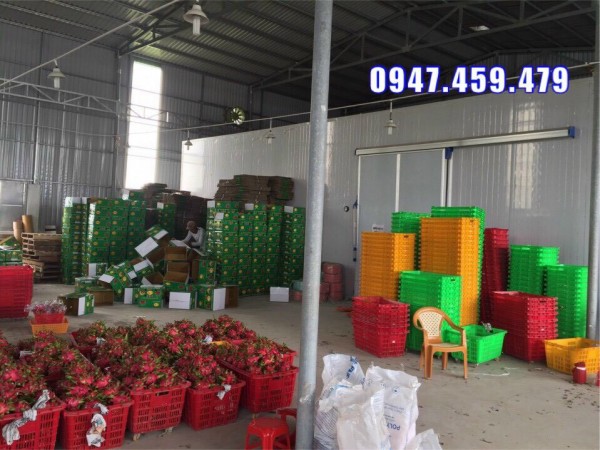 Thi công kho lạnh bảo quản thanh long tại Bình Thuận
