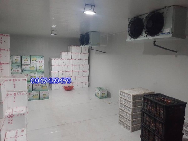 Thi công kho lạnh bảo quản trái cây giá tốt