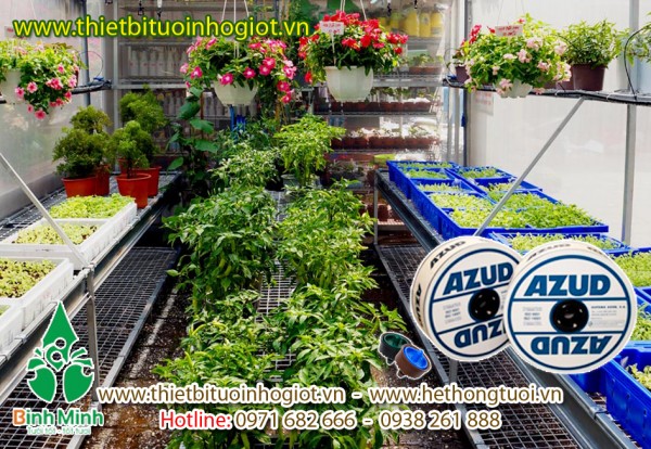 Thiết bị tưới nhỏ giọt, hệ thống tưới nhỏ giọt đơn giản, tưới nhỏ giọt hà nội,tưới nhỏ giọt giá rẻ