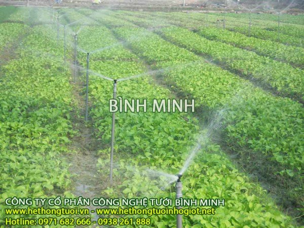 Thiết kế hệ thống tưới phun mưa, cách lắp đặt hệ thống tưới phun mưa, béc  tưới phun mưa