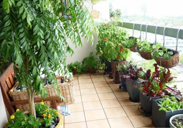 Thư giãn với khoảng ban công đầy màu sắc và tràn sức sống