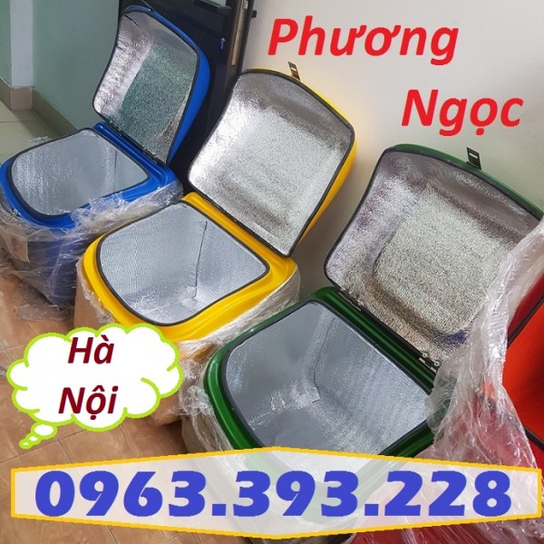 Thùng giao hàng trung 2, thùng chở hàng có mút cách nhiệt, thùng chở hàng nhựa composite