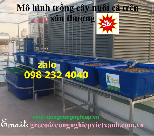 Thùng nhựa chữ nhật Dung tích 1000L Thấp