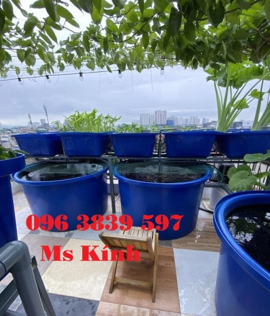 Thùng nhựa tròn nuôi cá, chậu nhựa trồng cây - 096 3839 597 Ms Kính