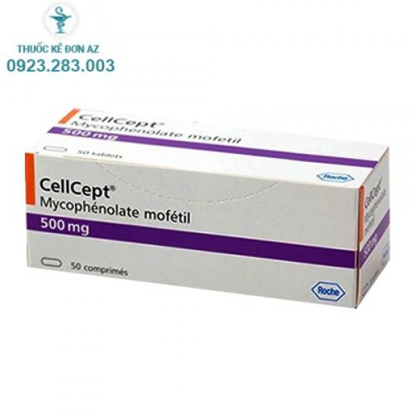 Thuốc CellCept 500mg - Thuốc Ức Chế Miễn Dịch