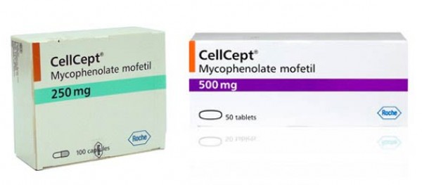 Thuốc Cellcept giá bao nhiêu? Mua thuốc Cellcept ở đâu uy tín?