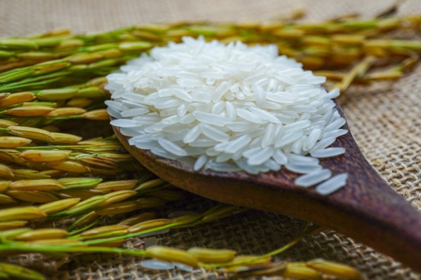 Tìm hiểu về gạo ST25 ngon nhất thế giới 