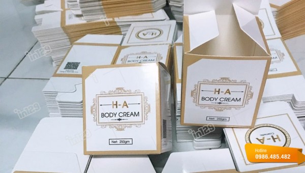 Tìm hiểu về hộp carton nắp gài