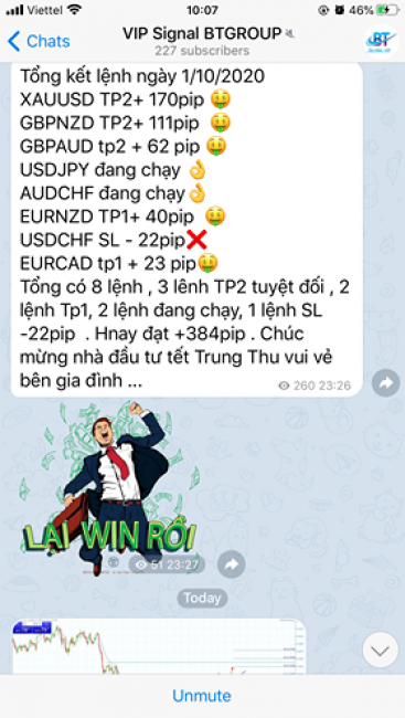 Tín hiệu VIP giao dịch ngoại hối hiệu quả của BTGROUP