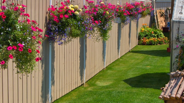 Tô điểm cho tường rào bằng bí quyết đơn giản