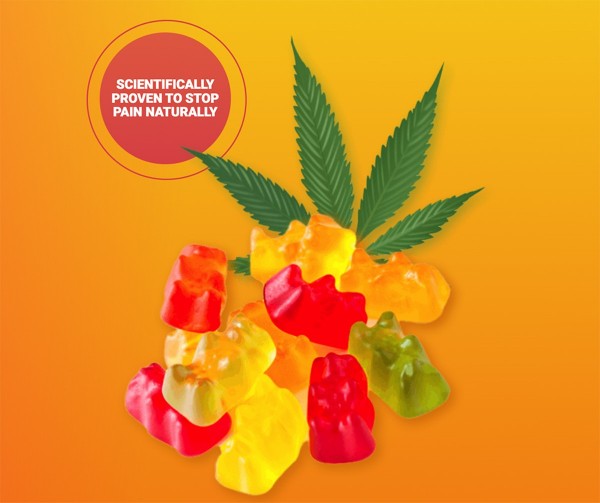 Tom Selleck CBD Gummies (2023) 100% Safe, Does It Really Work Or Not?