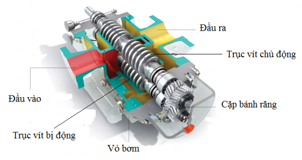Tổng quan về bơm trục vít 2 trục