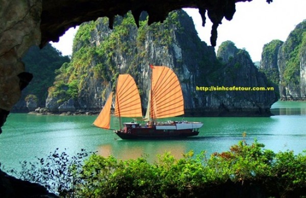 Tour Ha Long 1 ngày giá bao nhiêu?