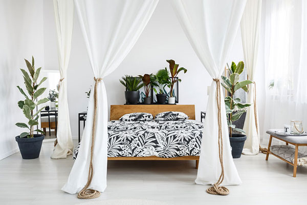 Trang trí phòng ngủ với cây xanh mang lại bầu không khí trong lành