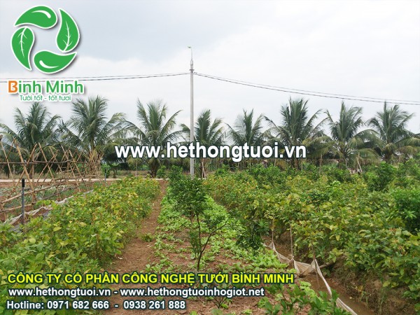 Tưới cảnh quan, vòi phun nước tưới cây,vòi phun xoay 360 độ, điều khiển hunter  core