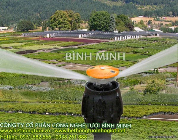 Tưới phun mưa,hệ thống tưới phun mưa,béc tưới phun mưa,vòi phun tưới cây ăn quả,béc tưới rau