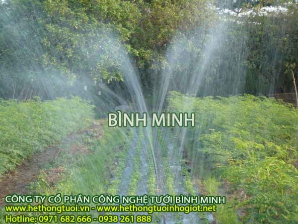 Tưới phun mưa, hệ thống tưới tự động kiểu phun mưa, hiệu quả từ mô hình tưới tự động 