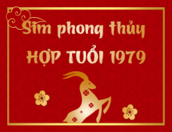 Tuyệt chiêu mua sim phong thủy hợp tuổi 1979 tam hoa đầu 090 giá rẻ