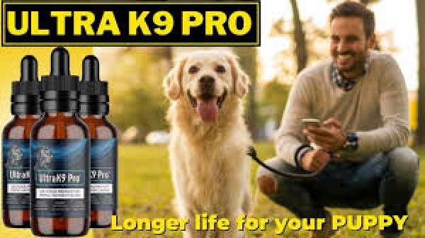 Ultra K9 Pro - Is Ultra K9 Pro Safe