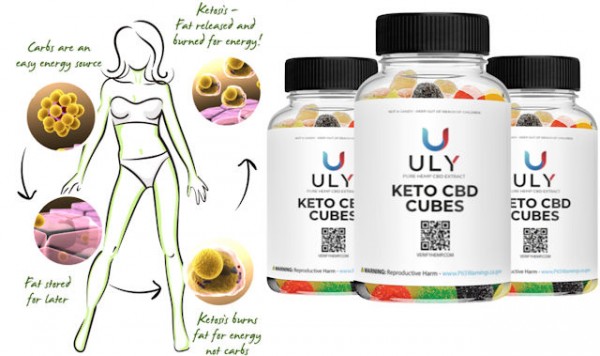 Uly CBD Gummies The Most Powerful and Potent