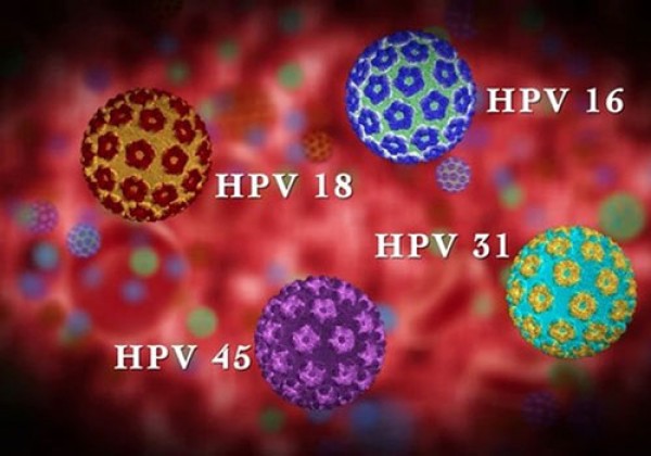 VIRUS HPV LÀ GÌ? NGUYÊN NHÂN VÀ CÁCH ĐIỀU TRỊ VIRUS HPV