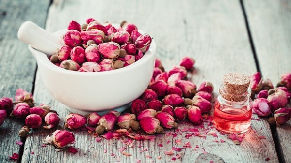 Vô vàn lợi ích đối với sức khỏe và sắc đẹp của tinh dầu hoa hồng