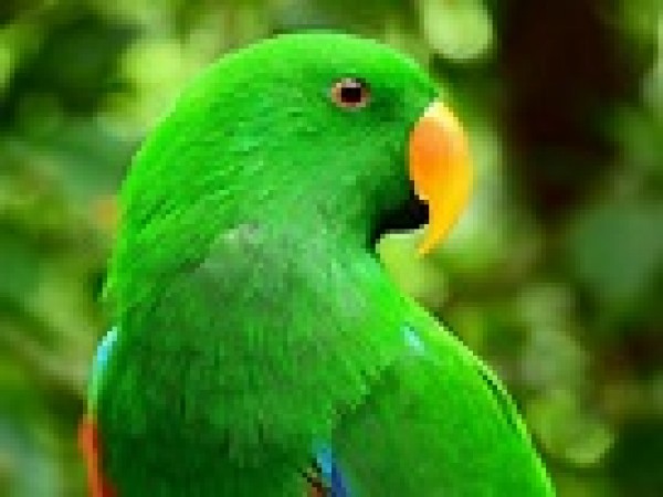 woldcup888 phân tích: MU chuẩn bị công bố 3 hợp đồng mới cực chất