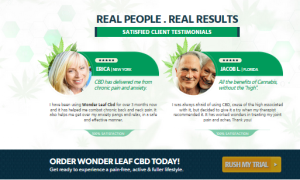 Wonder Leaf CBD Oil:- Is It Worth My Money? 