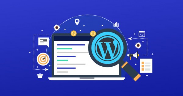 WordPress SEO guide for beginners: 13 tips to improve your website’s rankings