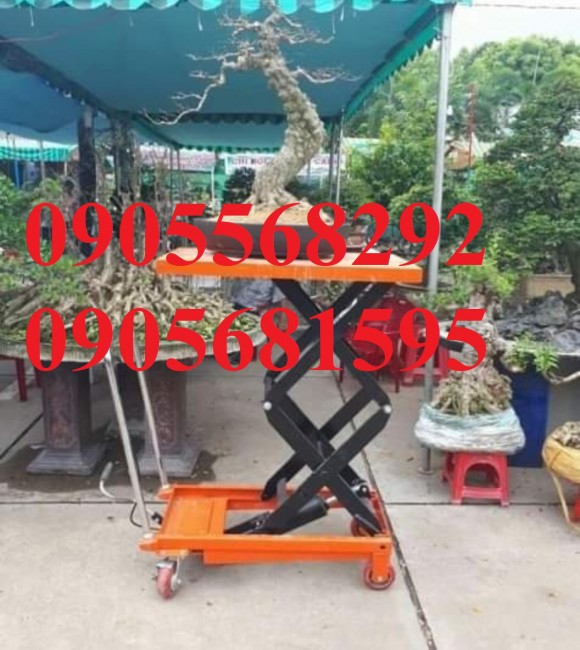 xe nâng mặt bàn chậu cảnh Đà Nẵng Quảng Nam Quảng Ngãi Bình Định giá siêu rẻ 0905681595