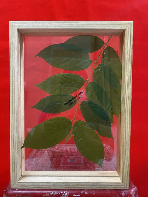 Xưởng sản xuất khung gỗ decor | 0972379908 