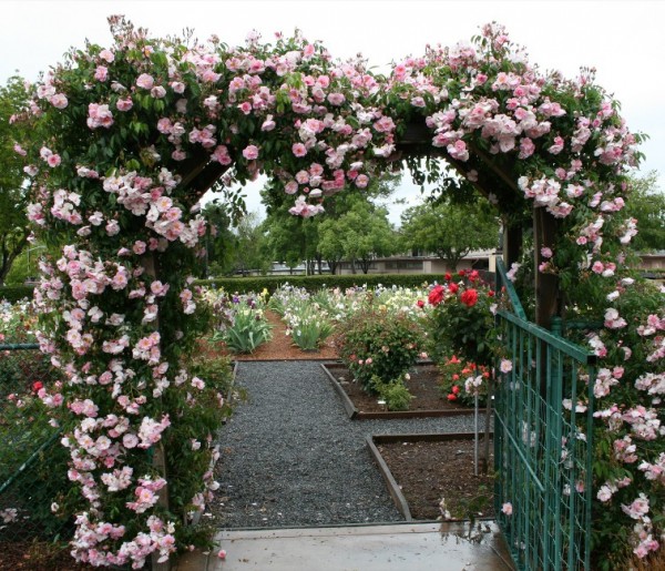 Ý tưởng trang trí cho cổng vườn thêm xinh