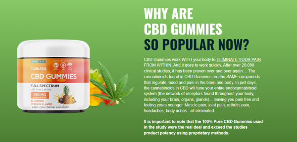 YouNabis CBD Gummies Reviews- Critical Details Emerge! What They Won’t Tell You!
