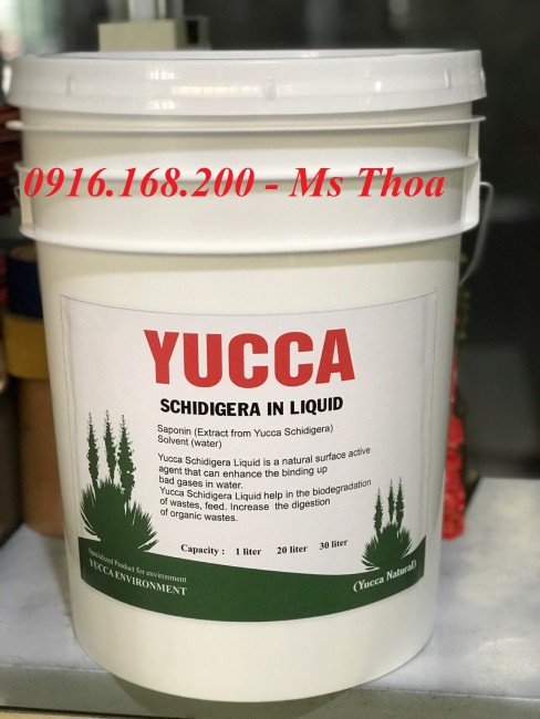 Yucca Schidigera In Liquid - Yucca nước, Yucca hấp thu khí độc